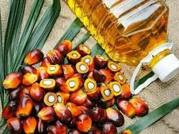 Edible Oil