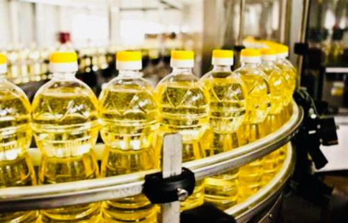 Sunflower Oil