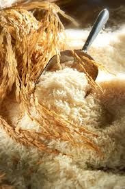 Premium Quality Basmati Rice and Non-Basmati Rice